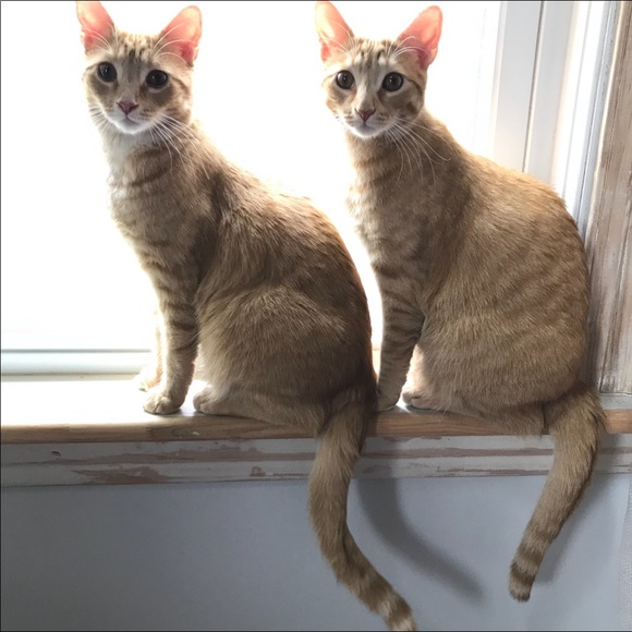 Hello! - Picture 6 of 12